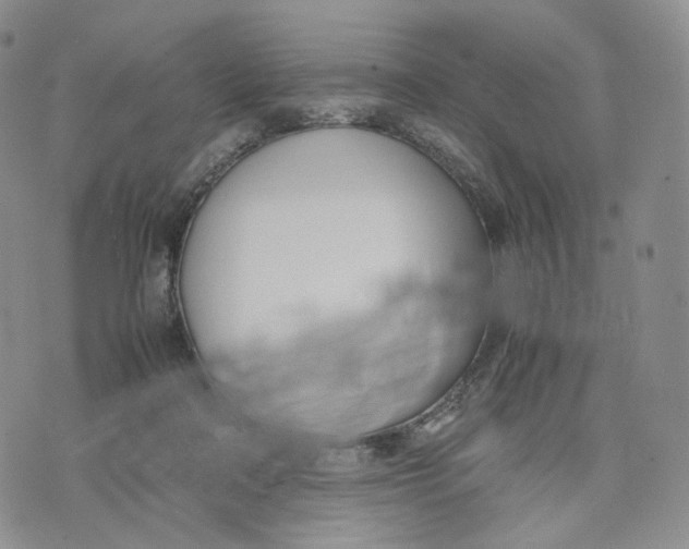 X0000074230314200609151653