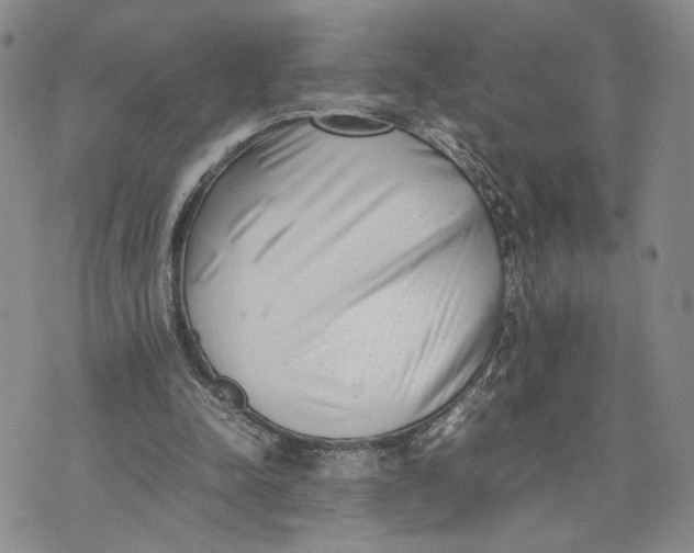 X0000074230342200609151651