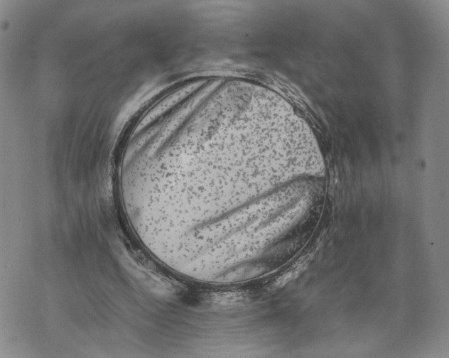 X0000074230344200609151652