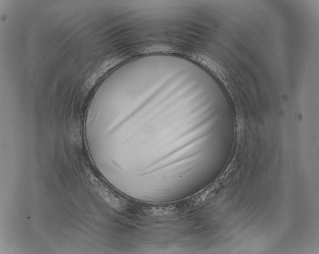X0000074230345200609151652