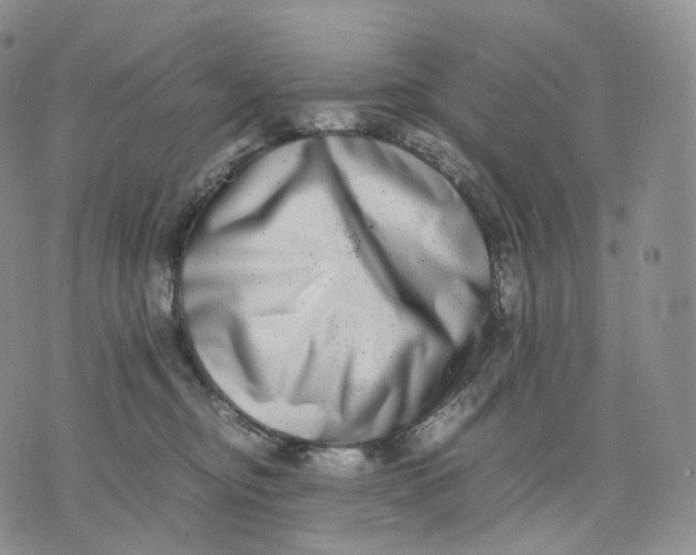 X0000074230374200609151652