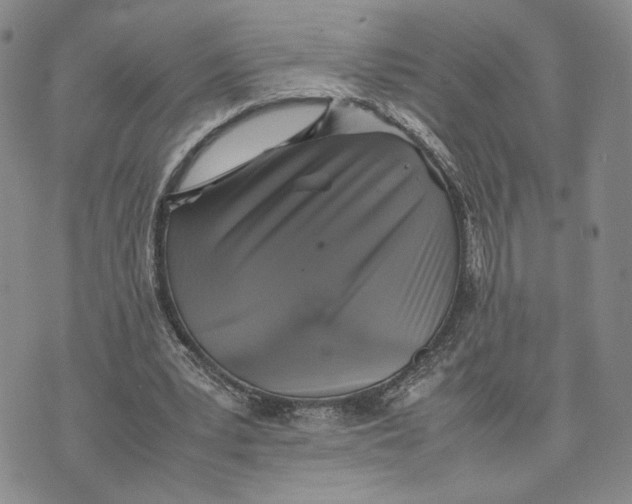 X0000074230391200609151651