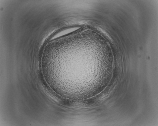 X0000074230399200609151651