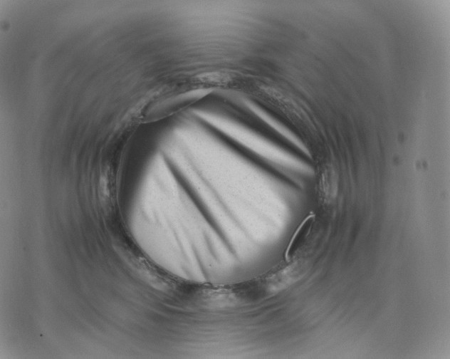 X0000074230424200609151651
