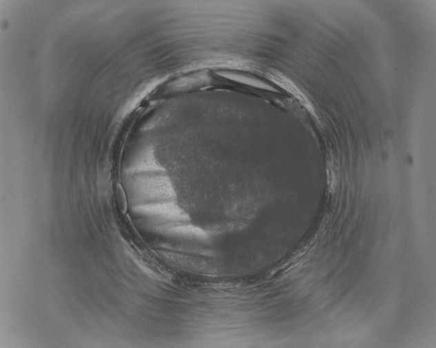 X0000074230436200609151650