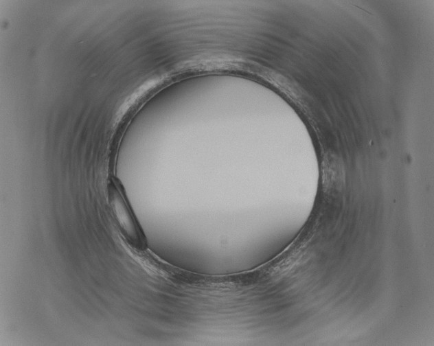 X0000074230438200609151650