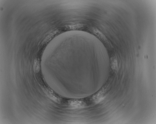 X0000074230471200609151650