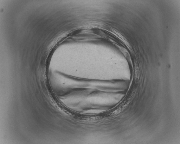 X0000074230485200609151650