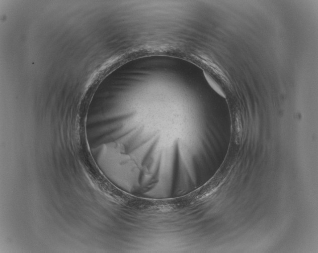 X0000074230492200609151650