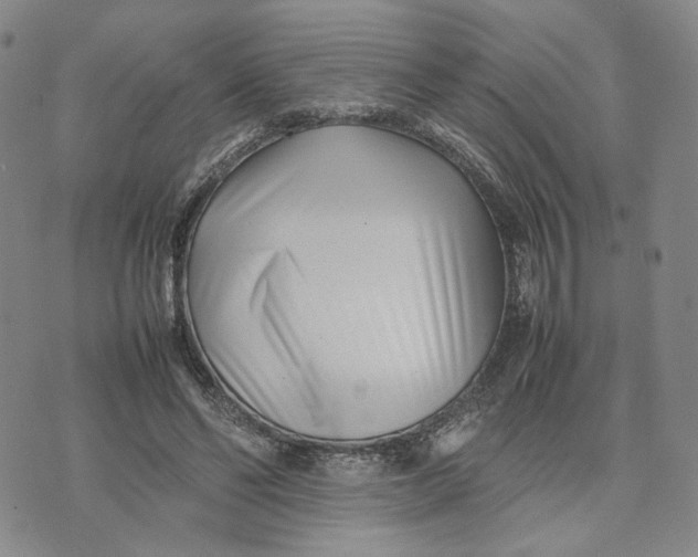 X0000074230494200609151650