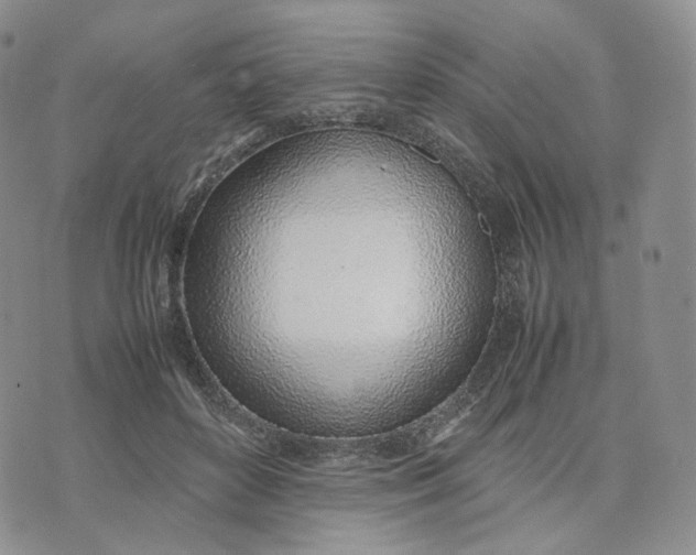 X0000074230504200609151649
