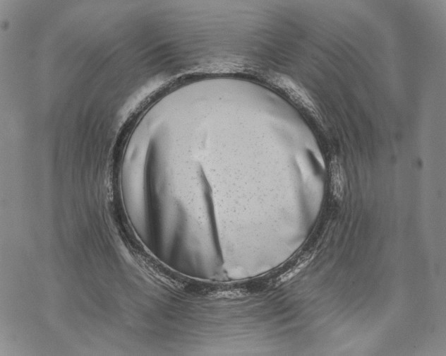 X0000074230536200609151648