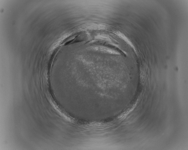 X0000074230581200609151648