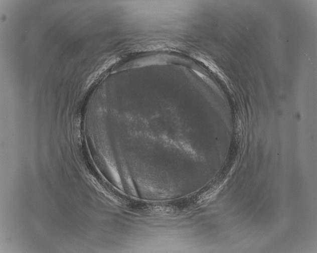X0000074230585200609151648