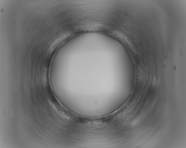 X0000074230586200609151648