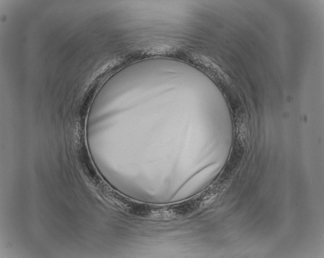 X0000074230591200609151648