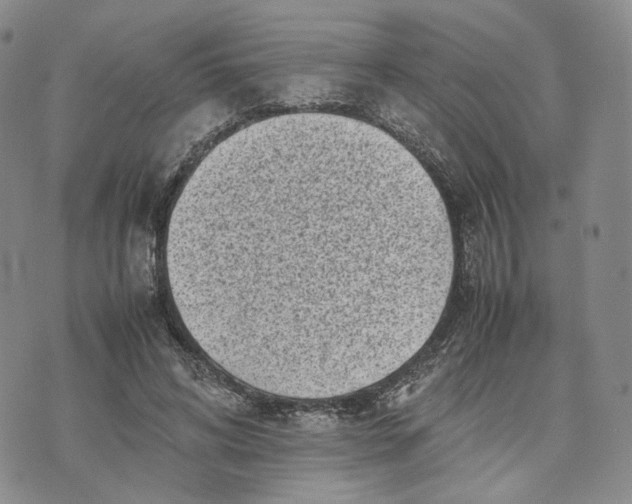 X0000074230592200609151648