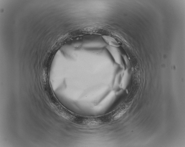 X0000074230597200609151648