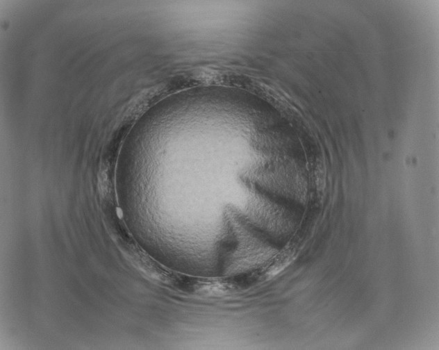 X0000074230611200609151648