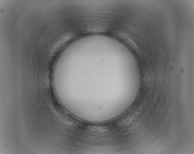 X0000074230635200609151647