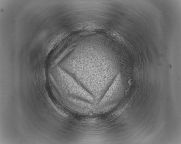 X0000074230638200609151647