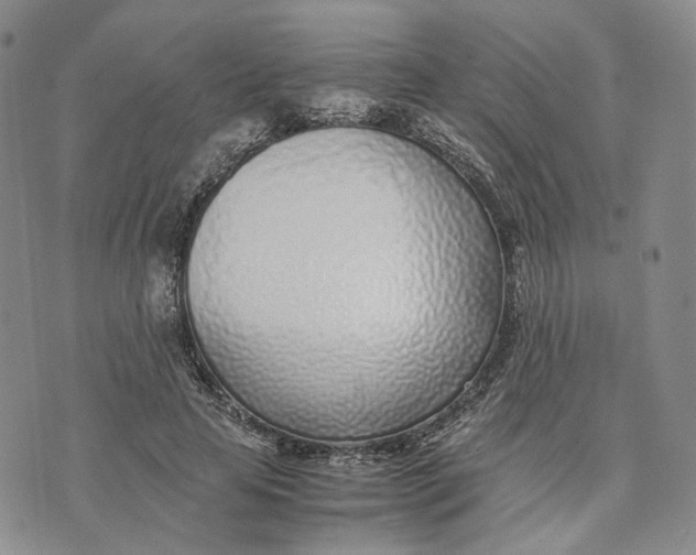 X0000074230641200609151647