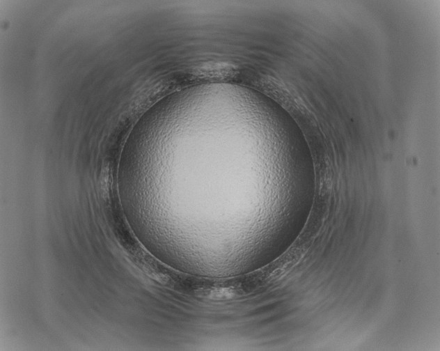 X0000074230647200609151647