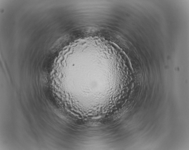 X0000074230654200609151647