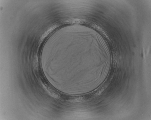 X0000074230674200609151647
