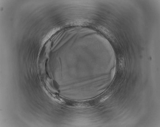 X0000074230678200609151647