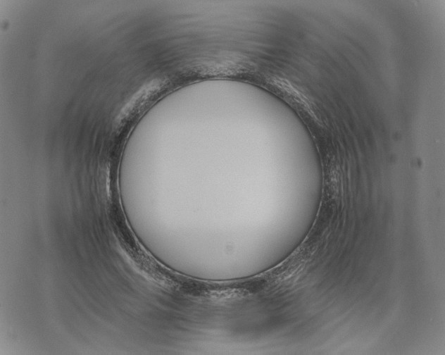 X0000074230686200609151647