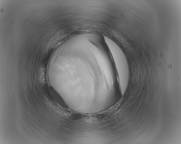 X0000074230696200609151646