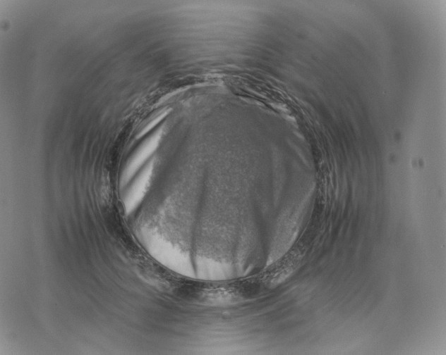 X0000074230704200609151646