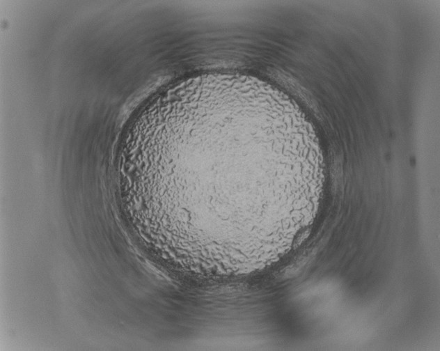 X0000074230721200609151645