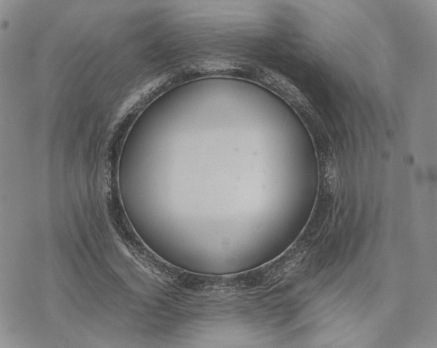 X0000074230732200609151645