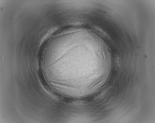 X0000074230734200609151645