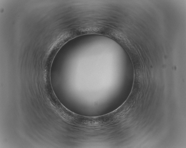 X0000074230735200609151645