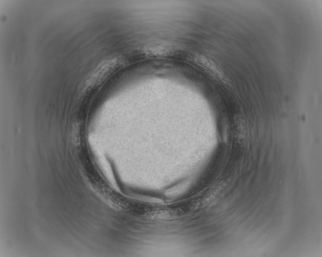 X0000074230738200609151645