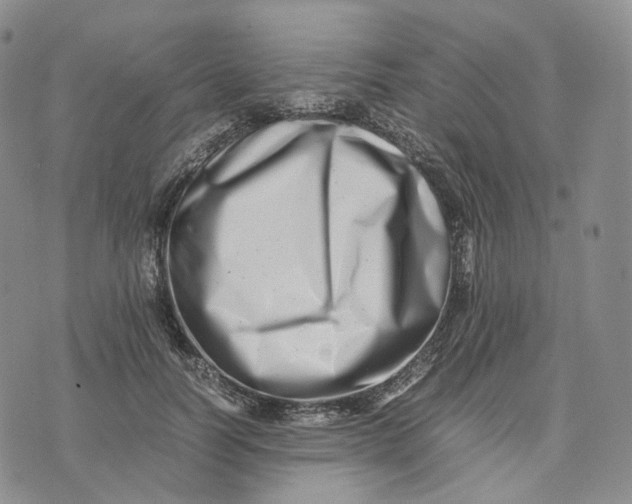 X0000074230746200609151646