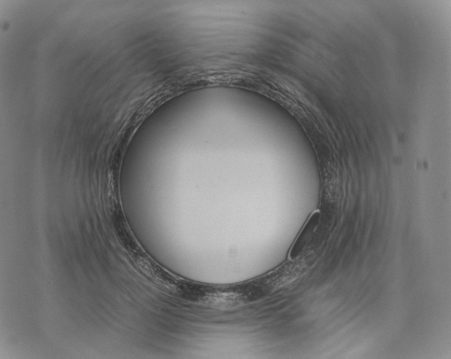 X0000074230748200609151646