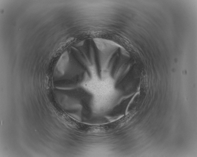 X0000074230750200609151646
