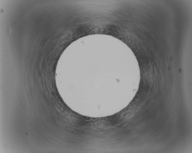 X0000074230769200609151645