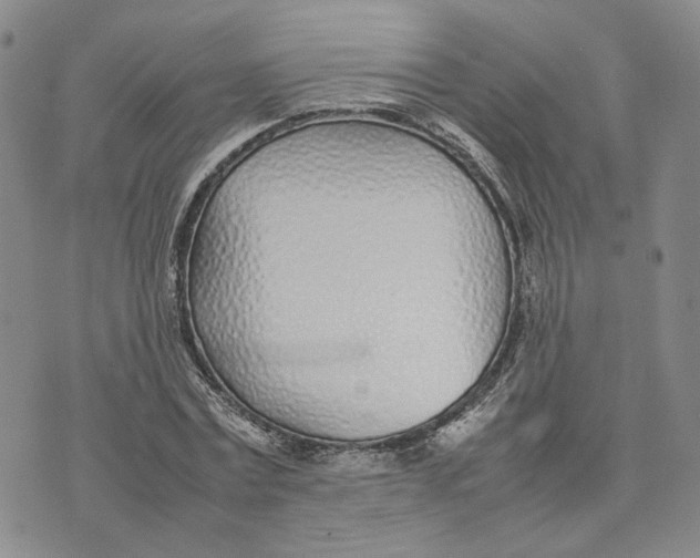 X0000074230779200609151645