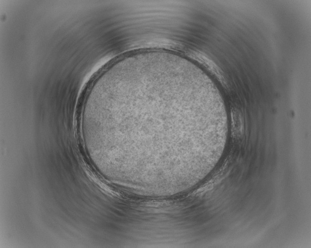X0000074230780200609151645