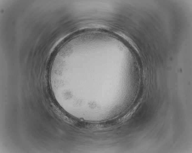 X0000074230783200609151645