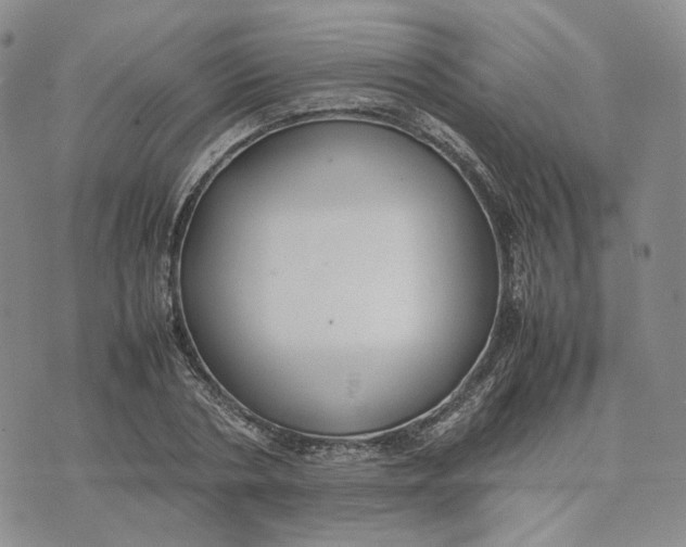 X0000074230786200609151645