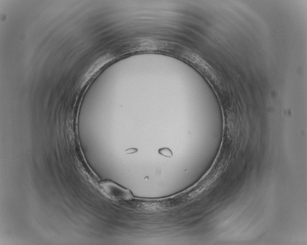 X0000074230794200609151645