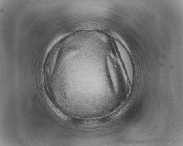 X0000074230795200609151645