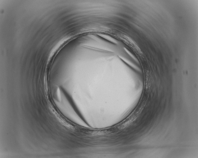X0000074230796200609151645