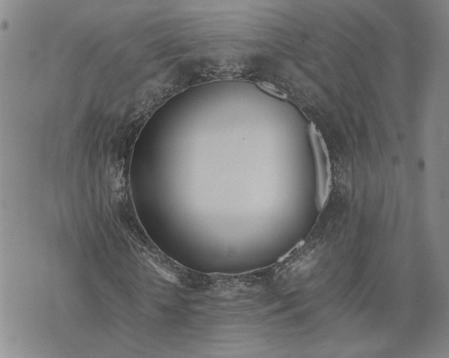 X0000074230818200609151644